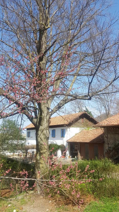 Castelveccana B&B Il Gatto Nero المظهر الخارجي الصورة