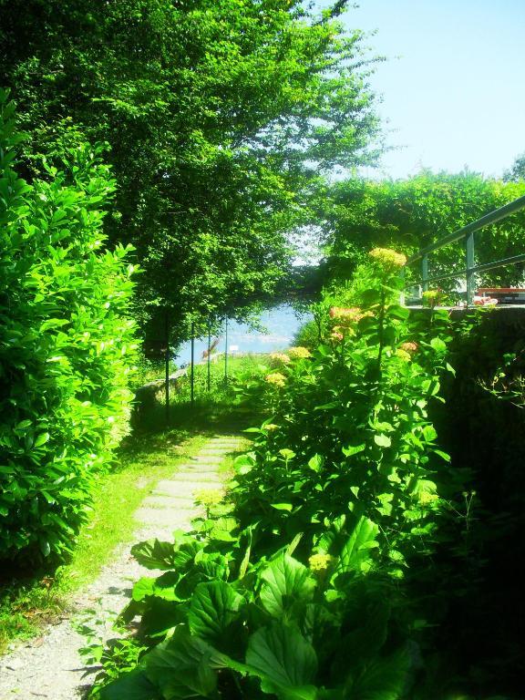 Castelveccana B&B Il Gatto Nero المظهر الخارجي الصورة
