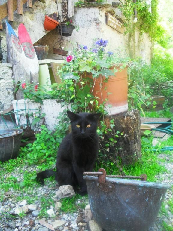 Castelveccana B&B Il Gatto Nero المظهر الخارجي الصورة