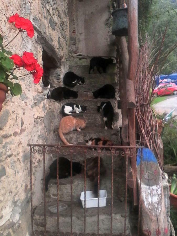 Castelveccana B&B Il Gatto Nero المظهر الخارجي الصورة