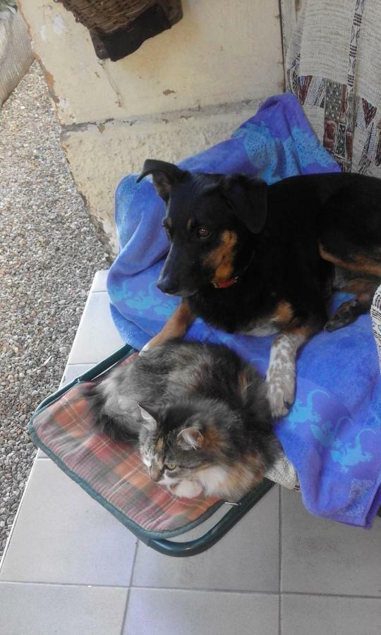 Castelveccana B&B Il Gatto Nero المظهر الخارجي الصورة